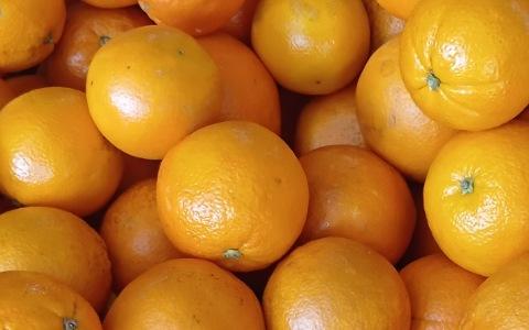 تصویر 1 از پرتقال نافل با خوشه‌ بندی منظم و آماده بازار