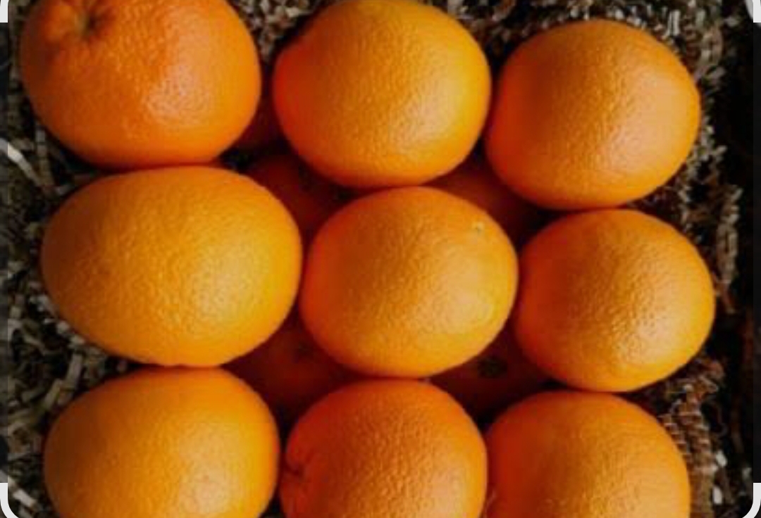 تصویر 1 از پرتقال نافی جنوب با پوست نازک و طعم متمایز