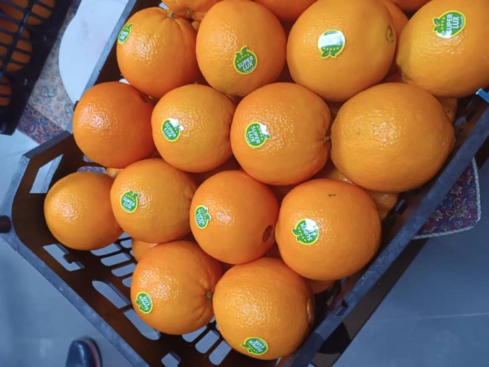 تصویر 4 از پرتقال شهسواری درجه یک دستچین شده