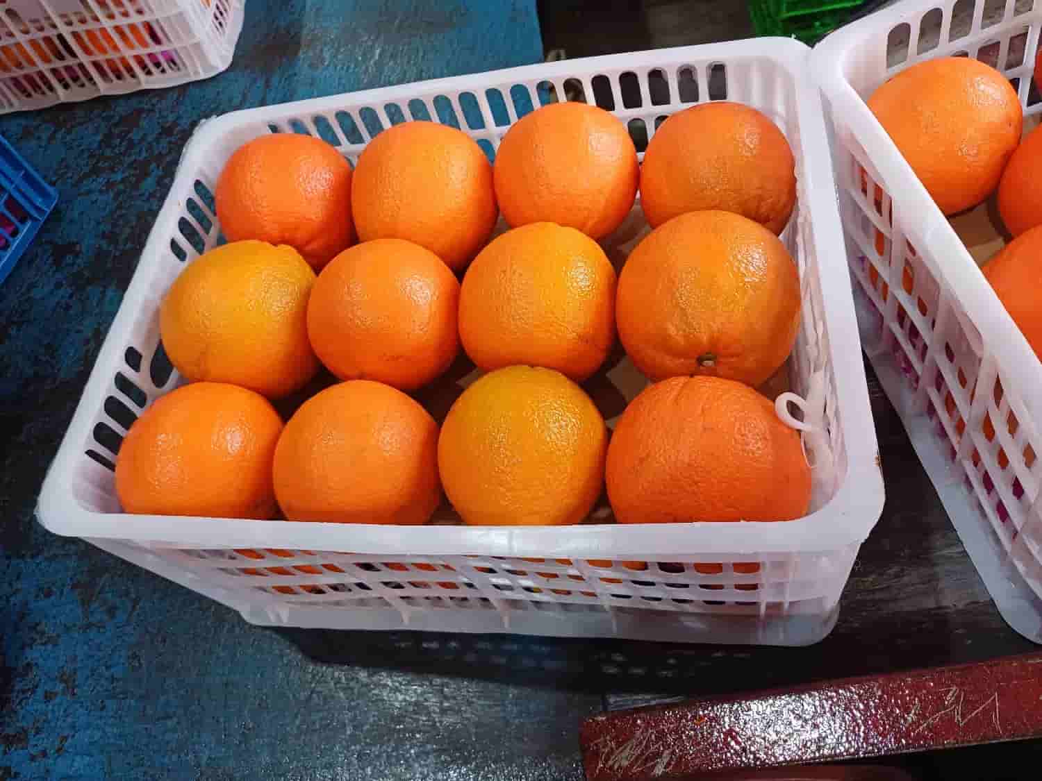 پرتقال زرد خوشه‌ ای از باغ‌ های جنوب با تازگی کامل و طعم لذیذ