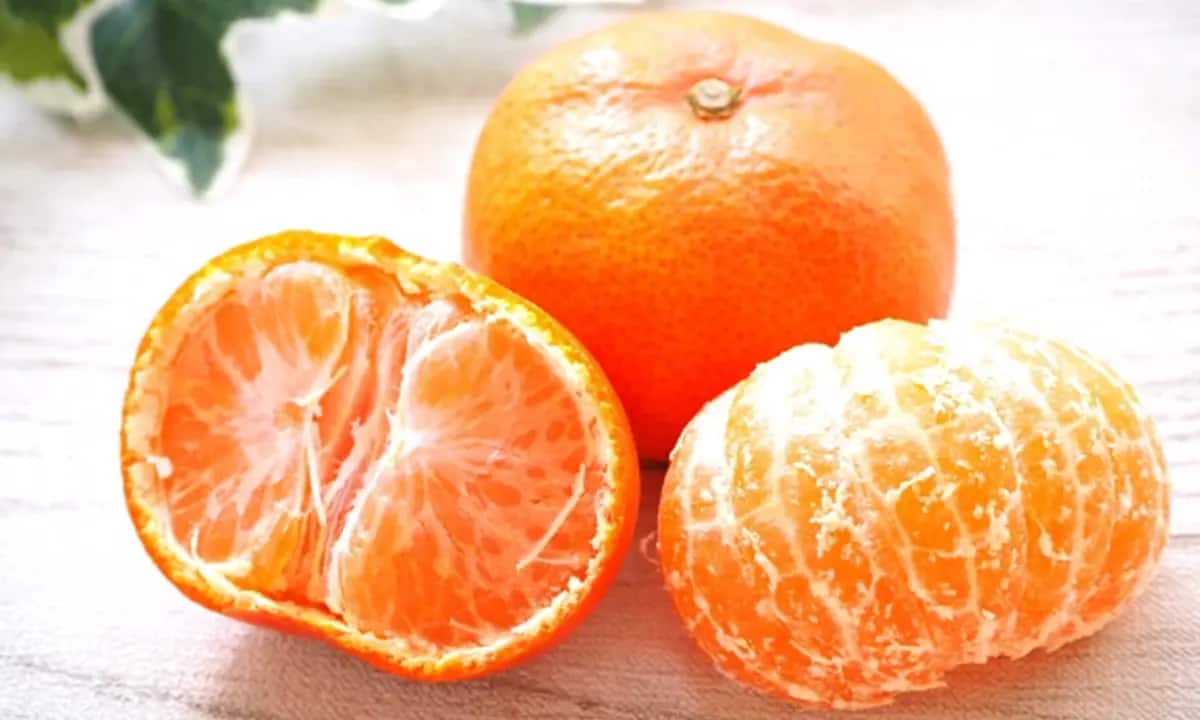 تصویر 4 از نارنگی دیررس خوشه‌ ای با کیفیت ممتاز و آماده مصرف