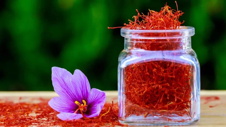 تصویر 4 از زعفران سرگل اعلا انتخابی حرفه‌ای برای آشپزها