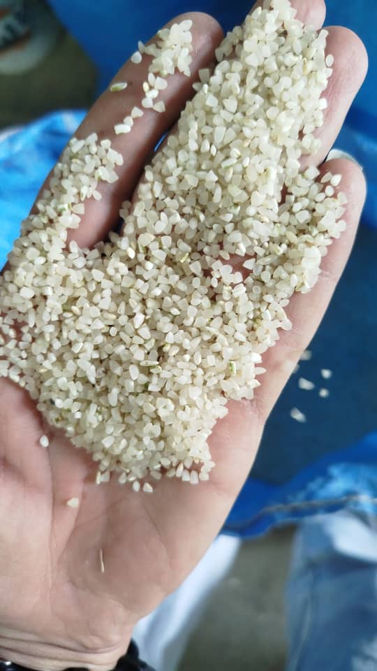 تصویر 2 از برنج نیم دانه کامفیروزی + فارس منطقه کامفیروز