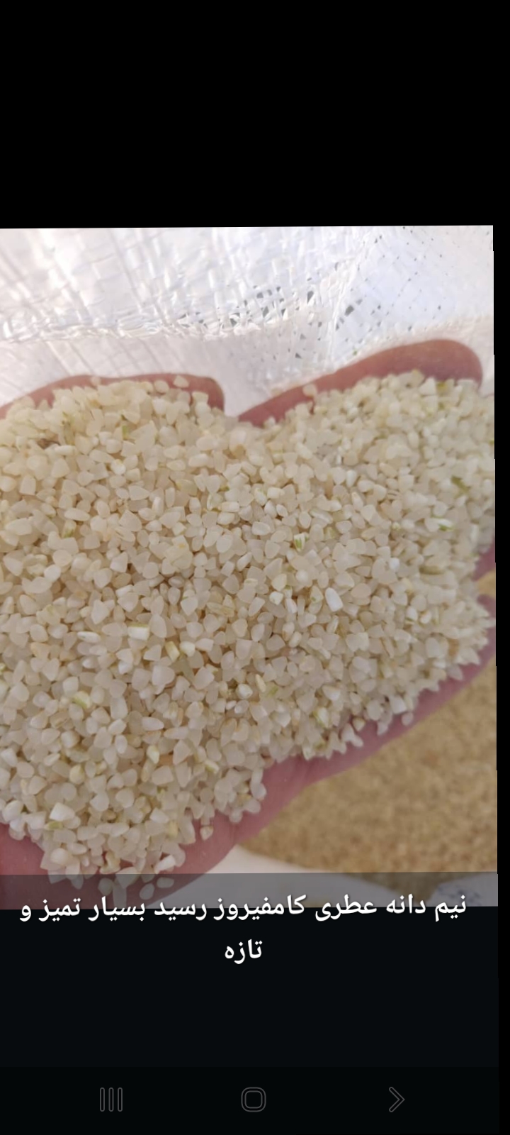 تصویر 1 از برنج نیم دانه کامفیروزی + فارس منطقه کامفیروز