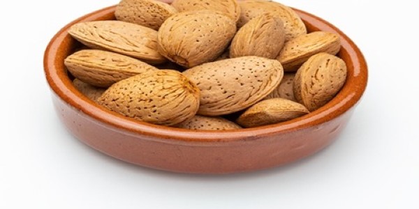 قیمت بادام سنگی