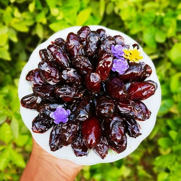 تصویر 3 از خرما کبکاب سعید یکی از برترین و با کیفیت ترین خرماهای ایران