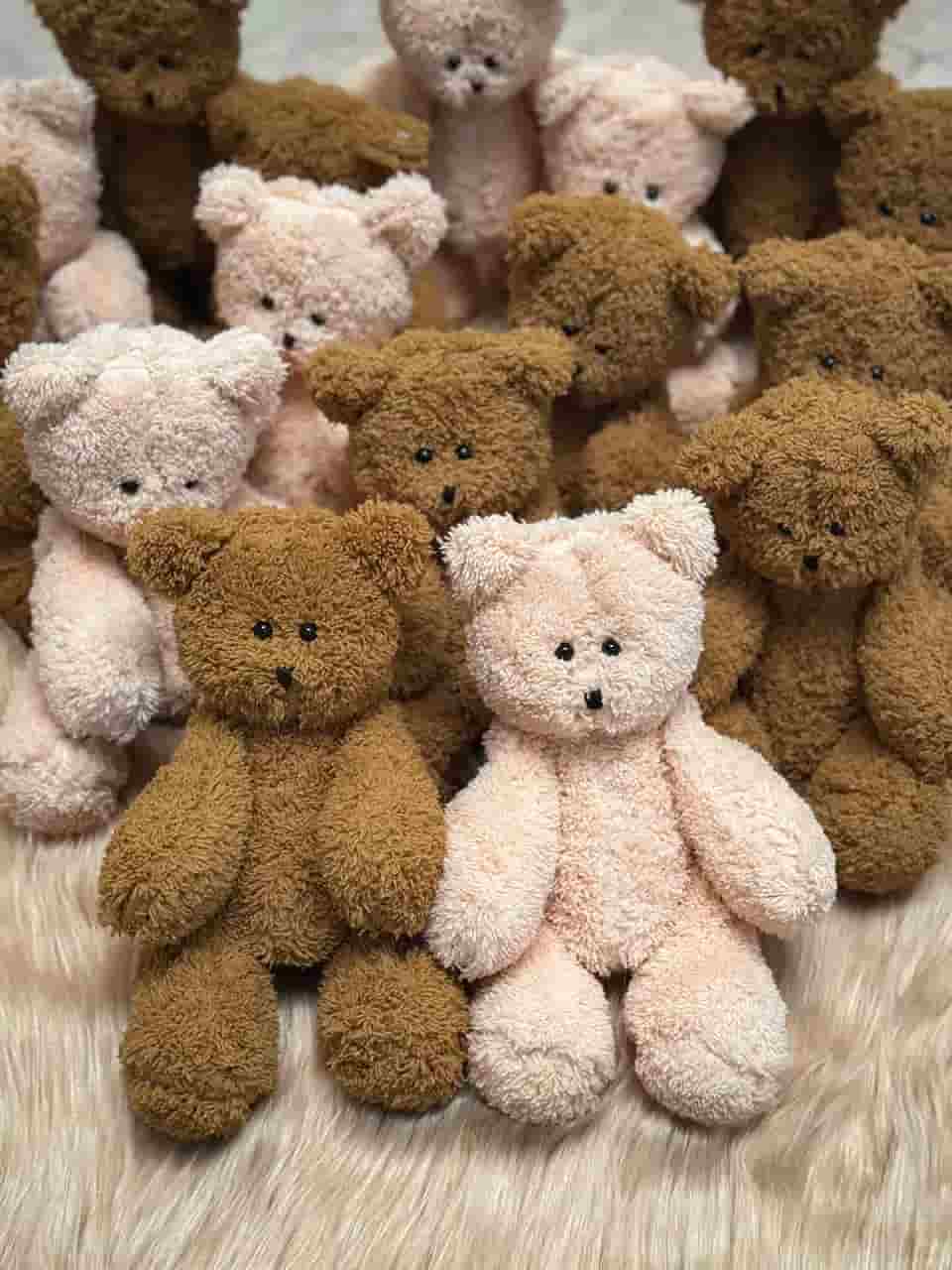 تصویر 3 از عروسک تدی با جزئیات دقیق و واقعی