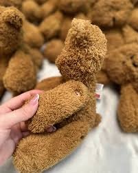 تصویر 4 از عروسک تدی با جزئیات دقیق و واقعی