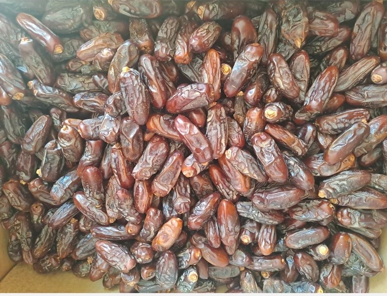 تصویر 2 از خرما پیارم ربی سیستان اعلا تازه 1 کیلویی