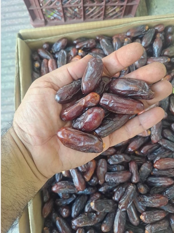 تصویر 3 از خرما پیارم ربی سیستان اعلا تازه 1 کیلویی