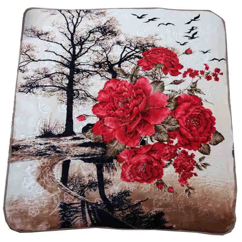 تصویر 2 از پتو شادیلون جنس مخملی لطیف با رنگ‌ بندی شاد