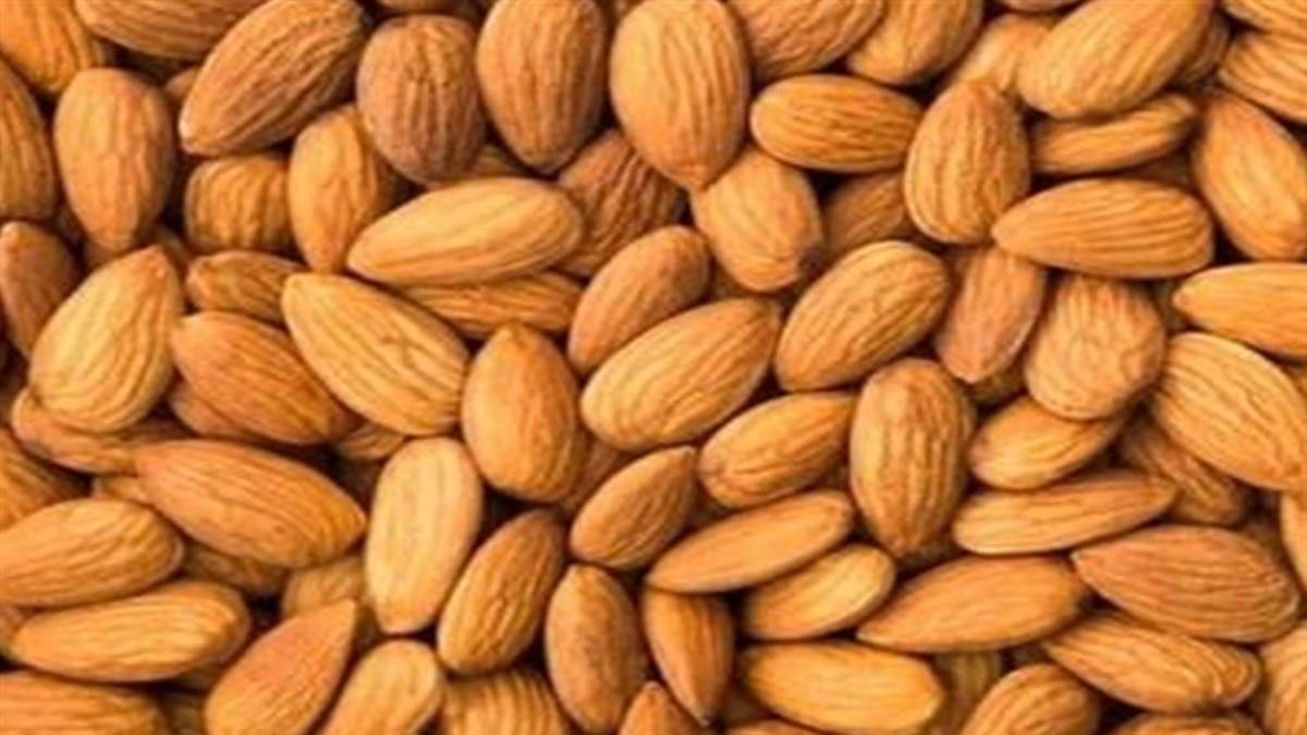 تصویر 1 از بادام درختی خام شور با کیفیت عالی و طعم خاص