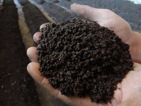 قیمت کود ارگانیک ورمی کمپوست + خرید باور نکردنی