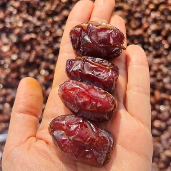 تصویر 3 از خرمای کبکاب درجه یک پوست نازک و شهد طبیعی تازه