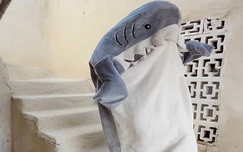 تصویر 4 از پتو کوسه ای طراحی جذاب برای کودکان و بزرگسالان