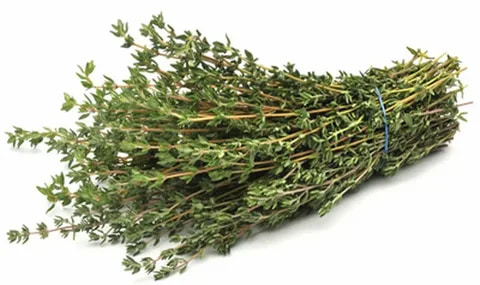 تصویر 2 از آویشن گیاهینه انتخابی محبوب در عطاری