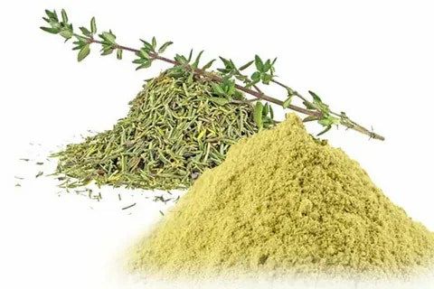 تصویر 4 از آویشن اسپانیایی مناسب آشپزی بین المللی