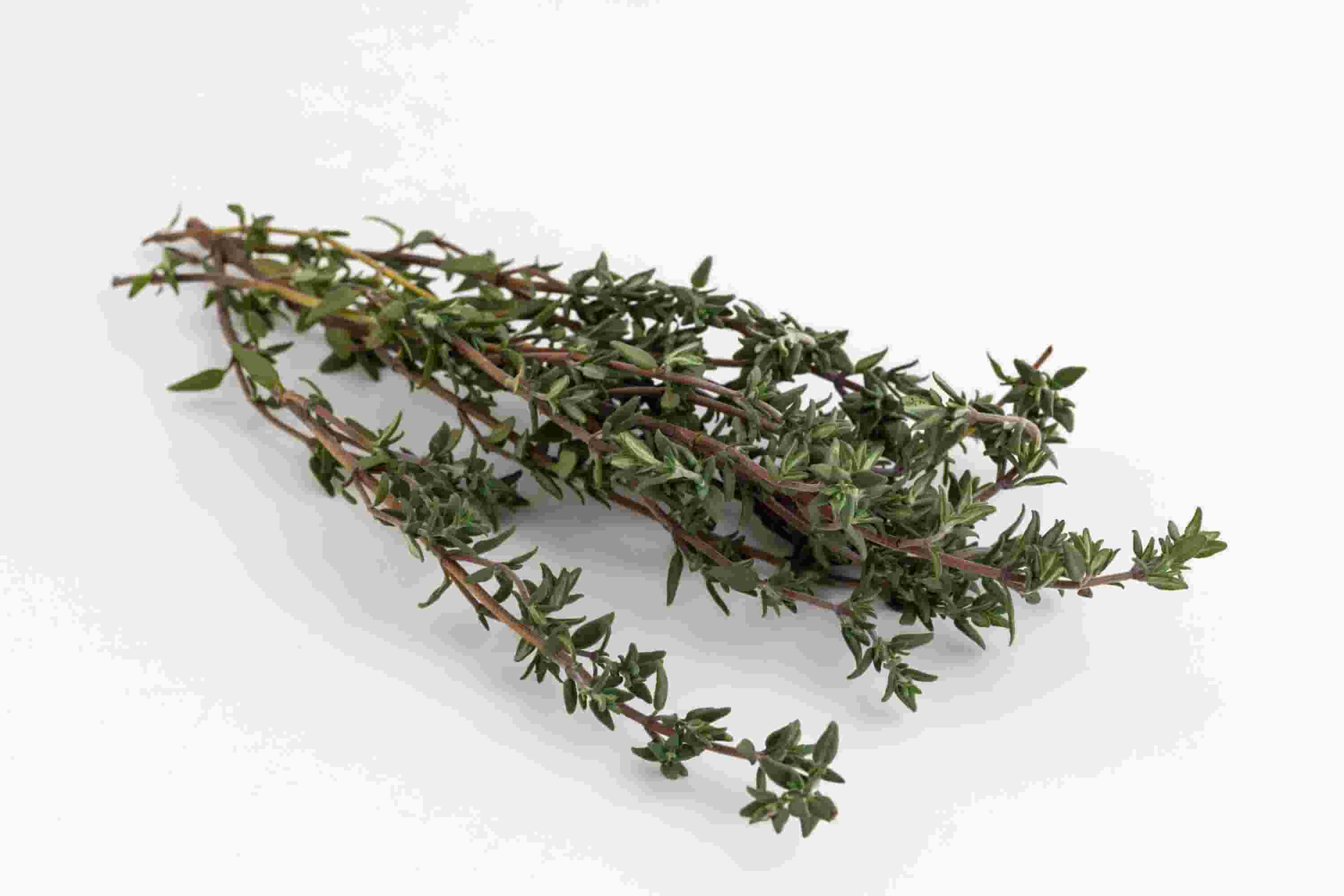 قیمت آویشن پودر