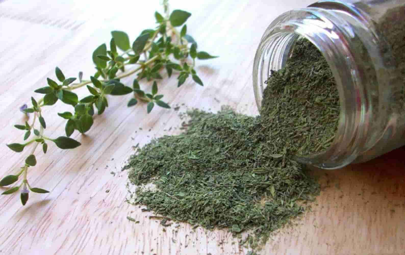 خرید آویشن پودر