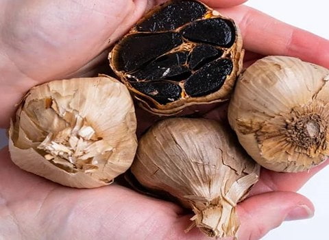 سیر سیاه فرآوری شده مناسب تهیه دمنوش و ترکیبات غذایی نوین