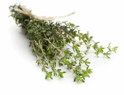 تصویر 3 از آویشن گلستان با هویت گیاهی شمال شرق