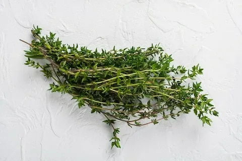 تصویر 1 از گل آویشن والایار مناسب ترکیب با گیاهان معطر