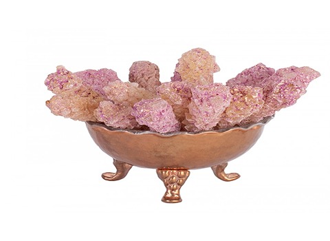 تصویر 3 از نبات گل محمدی مجلسی با ظاهر لوکس و دلنشین