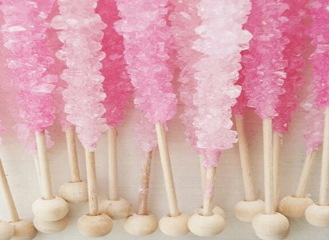 تصویر 4 از نبات گل محمدی مجلسی با ظاهر لوکس و دلنشین