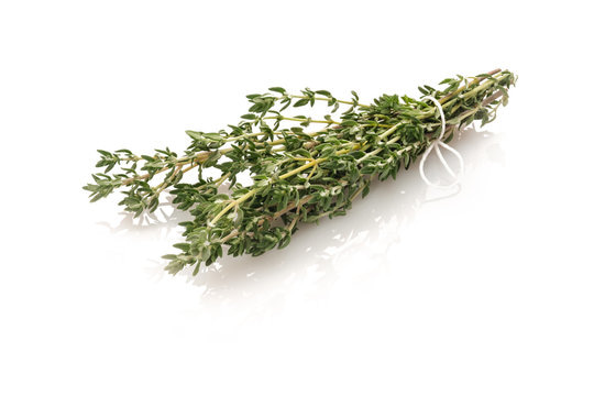 تصویر 4 از گل آویشن کوهی با جلوه وحشی و چشم نواز