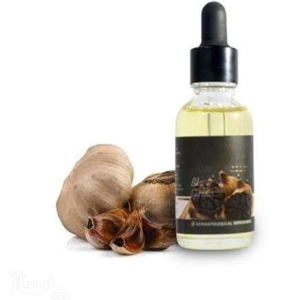 سیر سیاه روغنی فرآوری شده با حفظ کیفیت و ارزش