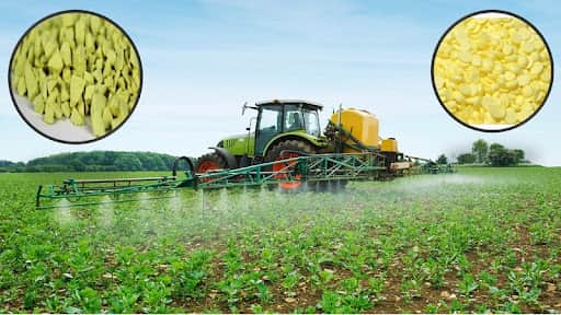 تصویر 1 از گوگرد گرانول برای انگور ترکیب دانه‌ ای کنترل‌ کننده قارچ