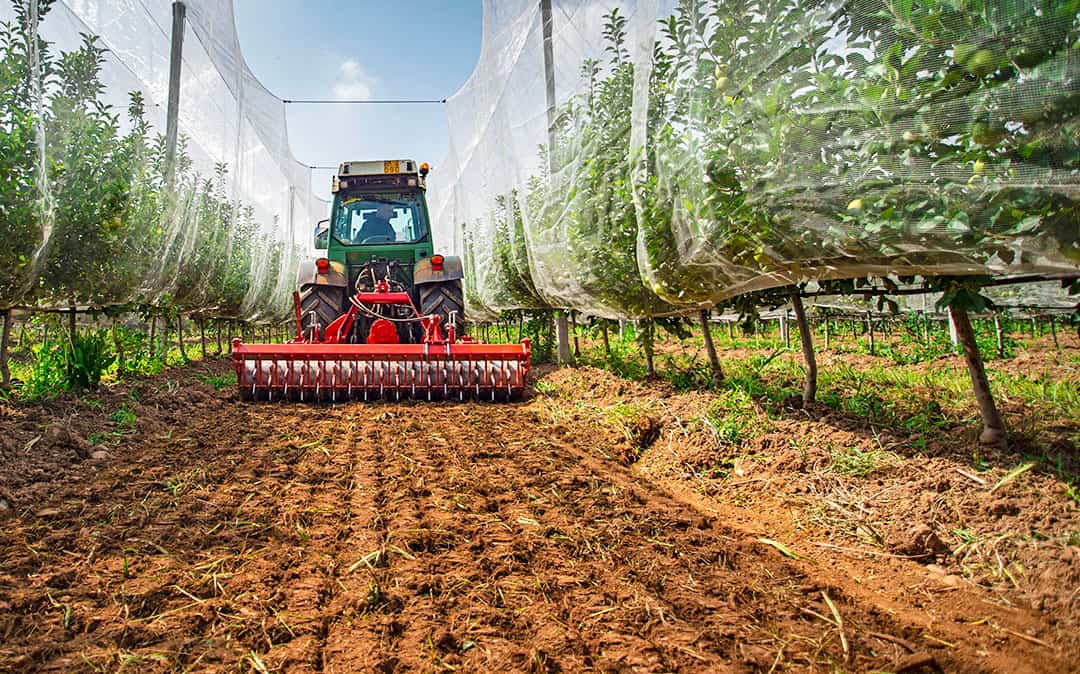 تصویر 2 از گاو آهن کلوخ خرد کن سبک و نصب آسان برای کشاورزی