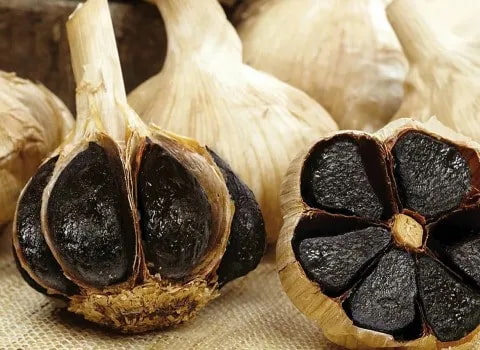 تصویر 2 از سیر صادراتی همدان با برش‌ های یکدست و مرتب