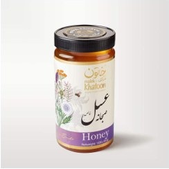 تصویر 1 از عسل چهل گیاه کوهستان ملک خاتون طبیعی با طعم غنی چندگیاه