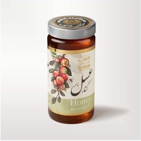 تصویر 2 از عسل چهل گیاه کوهستان ملک خاتون طبیعی با طعم غنی چندگیاه