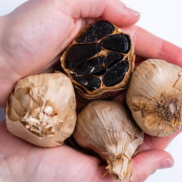 تصویر 4 از سیر سیاه نیوشا با کیفیت ثابت و طول عمر بالا