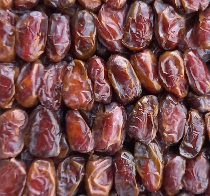 تصویر 3 از خرما کبکاب شیرازی نمادی از کیفیت و طعم عالی