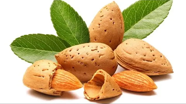 تصویر 4 از بادام درختی با پوست تازه و مخصوص مجالس پذیرایی عید