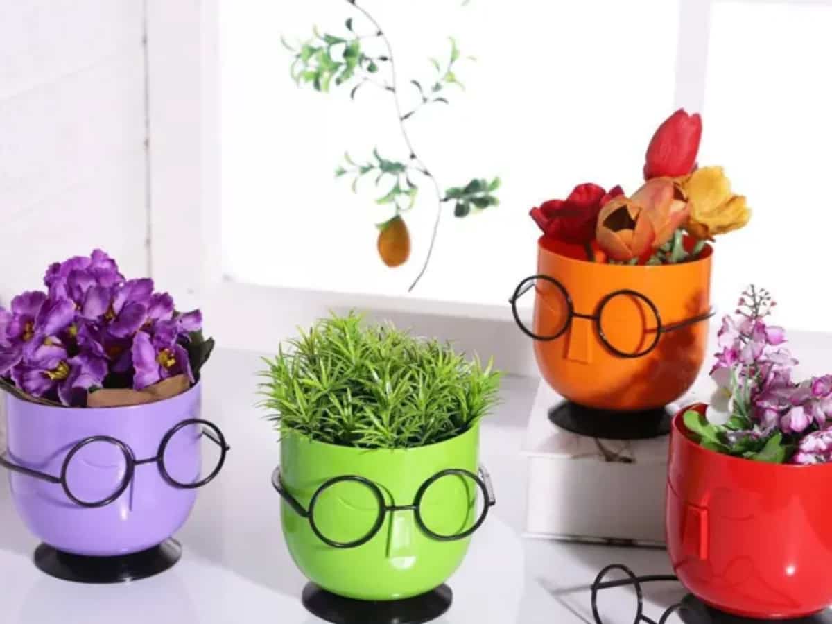 گلدان پلاستیکی عینک دار با طراحی فانتزی و متفاوت