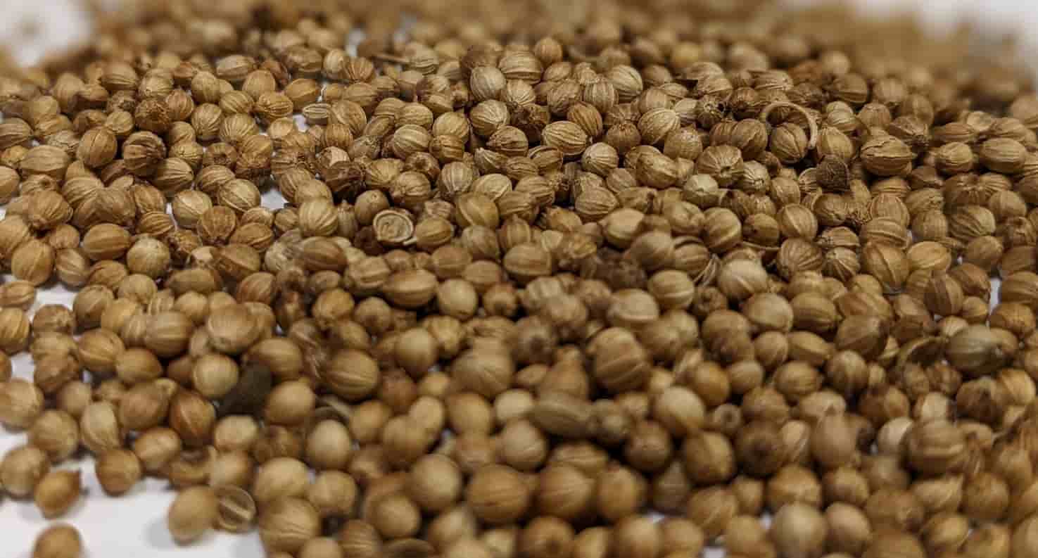 تصویر 4 از تخم گشنیز سبزوار با کیفیت مرغوب و بوی طبیعی