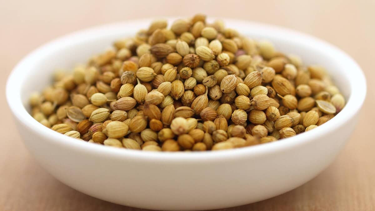 تصویر 2 از تخم گشنیز گل مناسب مصارف خانگی و آشپزی