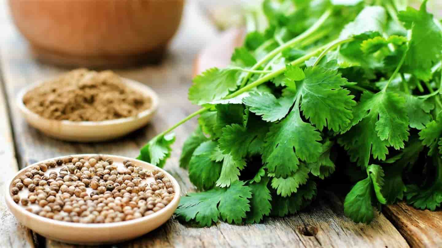 تصویر 1 از تخم گشنیز همدان قابل استفاده برای ادویه‌ و چاشنی