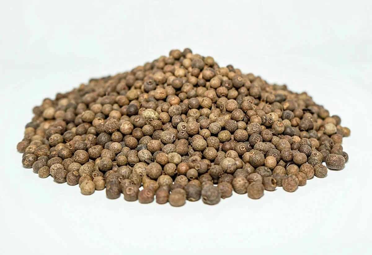 تصویر 4 از تخم گشنیز ساری محصول کشاورزی منطقه‌ ای