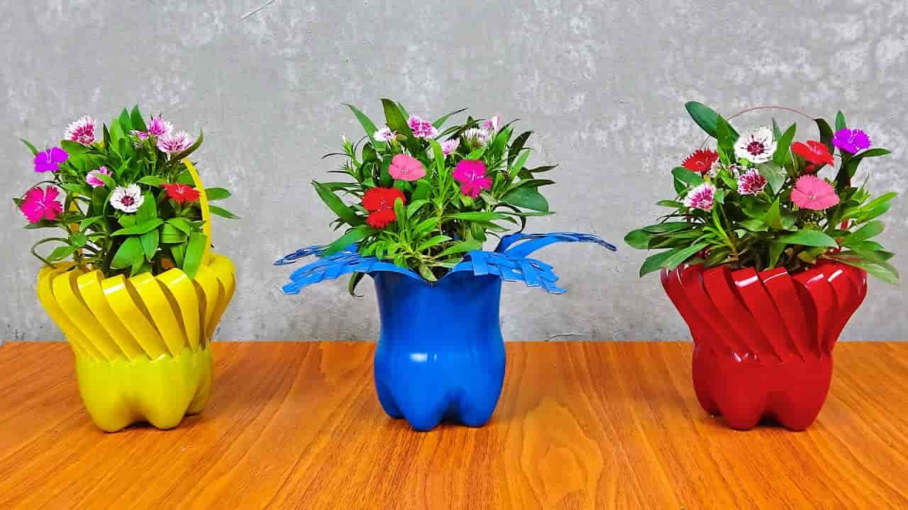 تصویر 3 از گلدان پلاستیکی نهال مناسب شروع رشد گیاه