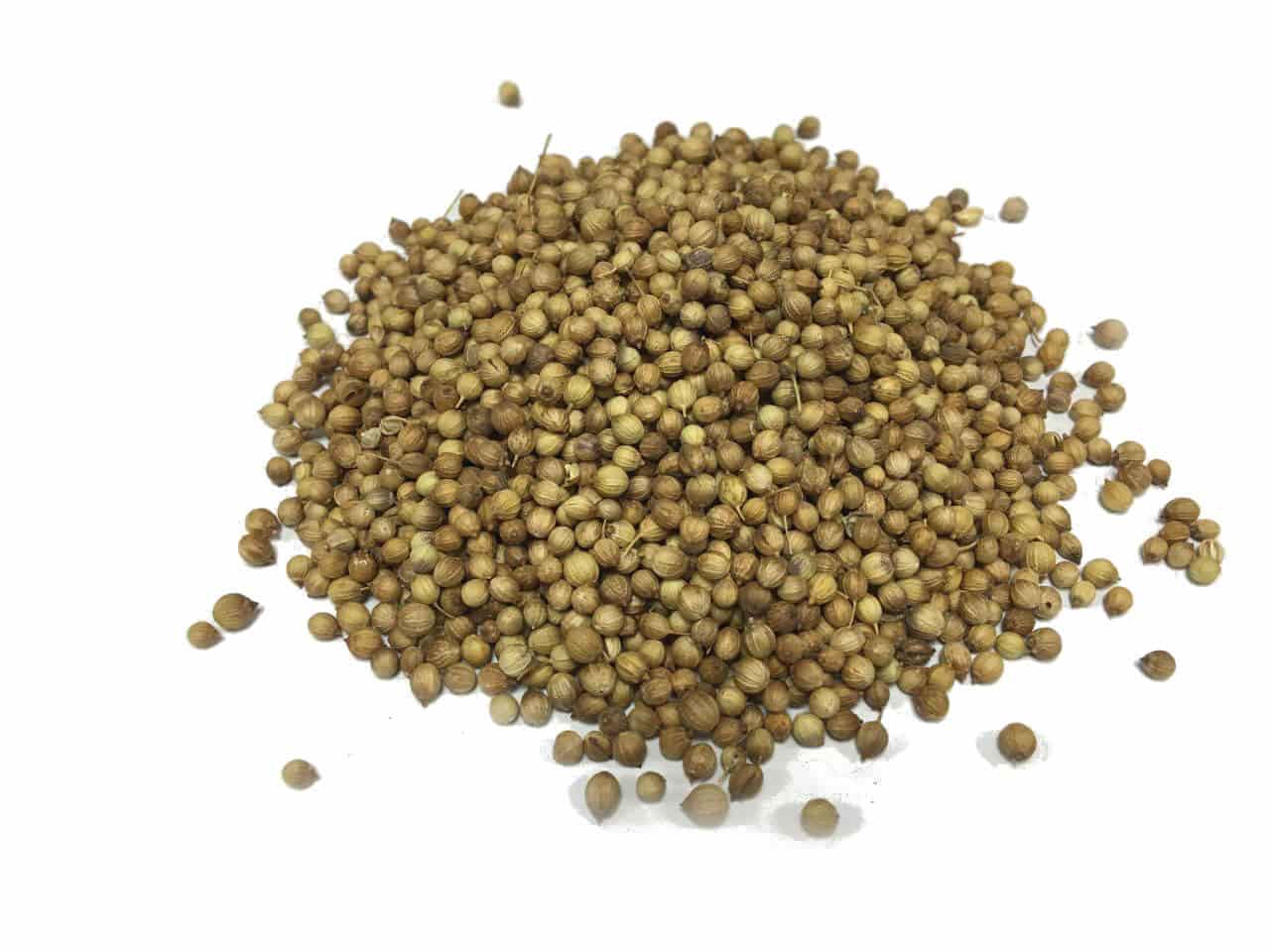 تصویر 4 از تخم گشنیز صحرایی مناسب استفاده در انواع ترشی و شور