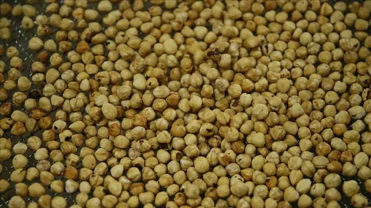 تصویر 4 از تخم گشنیز سیاه دارای دانه‌ های خوش‌ رنگ