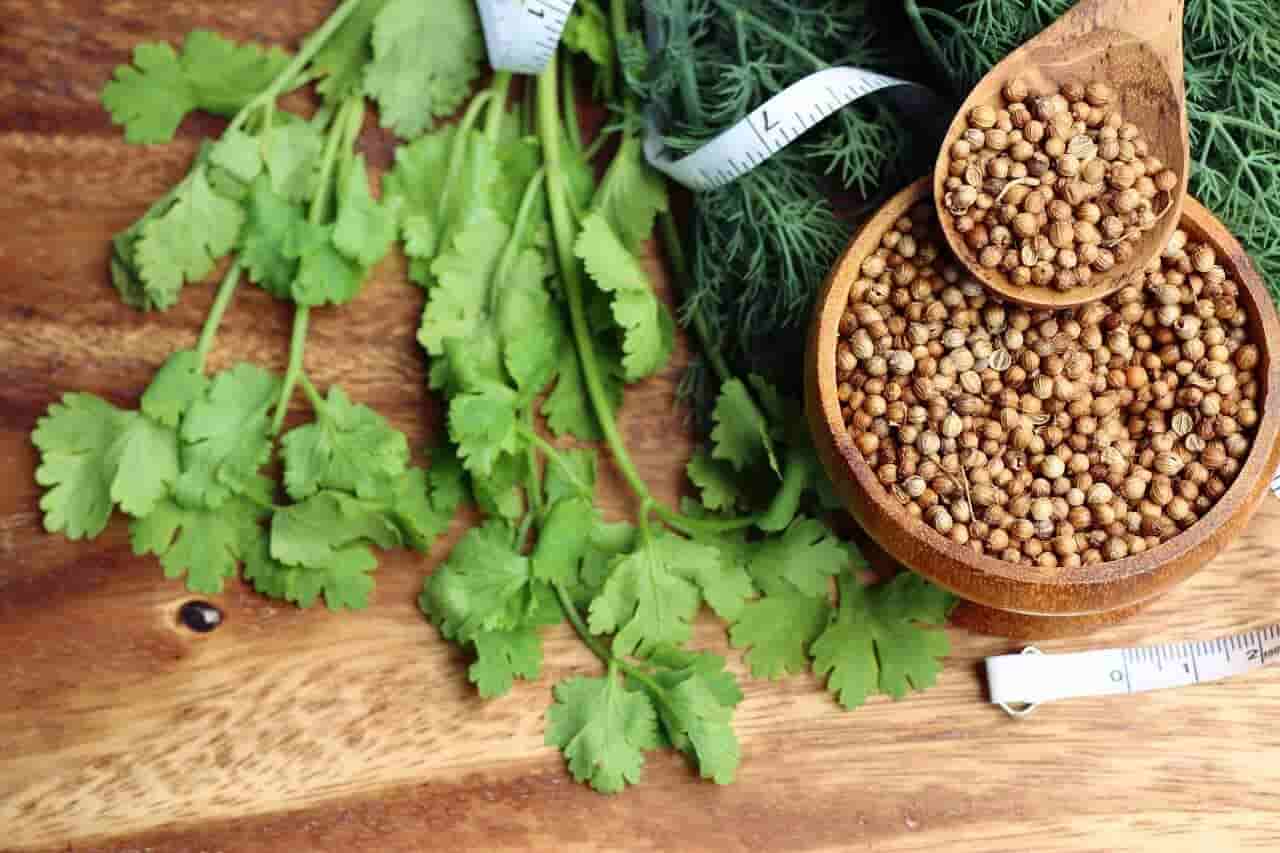 تخم گشنیز ادویه مناسب اضافه کردن به سوپ و سس‌ ها