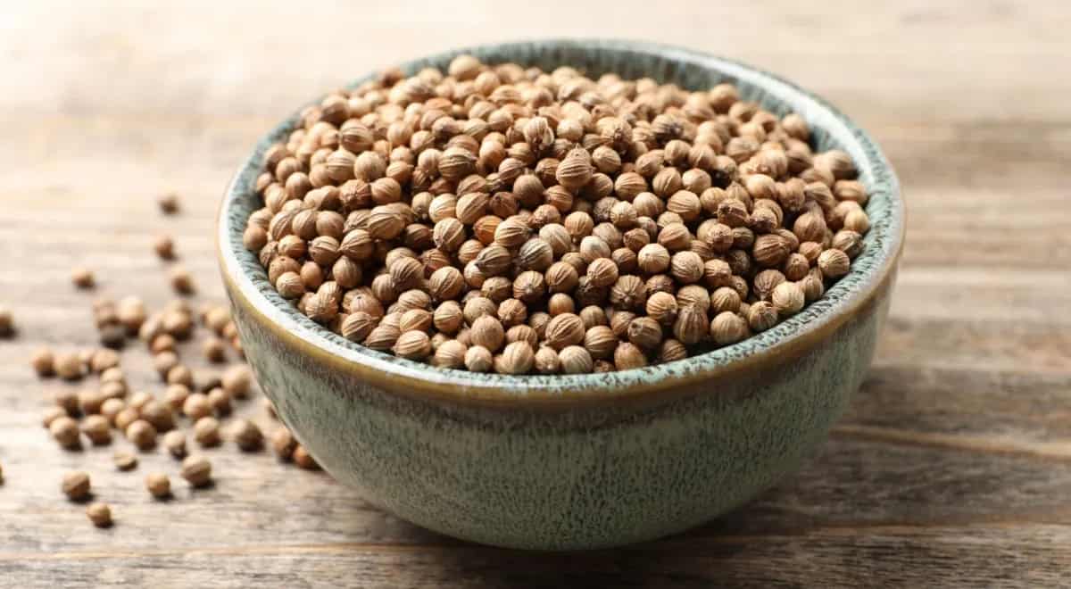 تصویر 1 از تخم گشنیز هلندی دارای خواص طبیعی و مفید