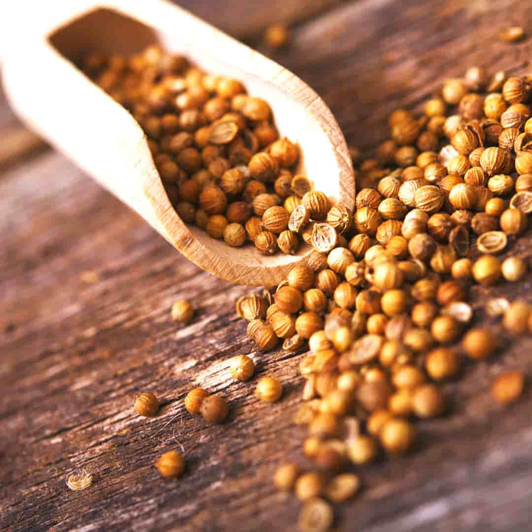 تصویر 1 از تخم گشنیز تبریز پاک‌ شده و بومی