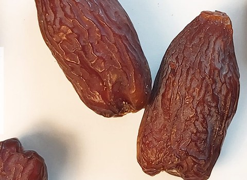 تصویر 1 از خرید خرما مجول ایرانی + قیمت ویژه